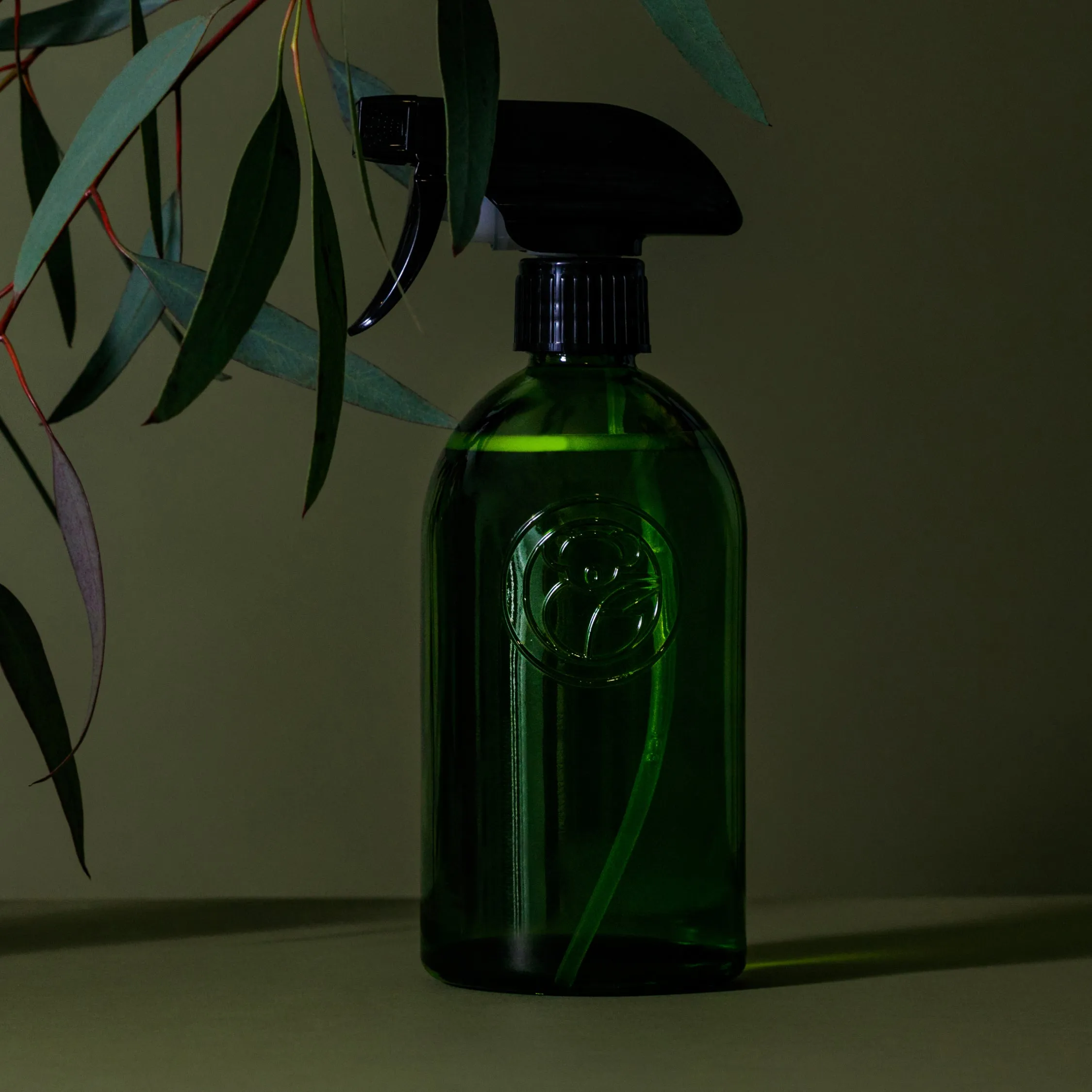 Apothecary Glass Bottle Carton (6)