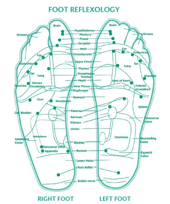 Bodytox Detox Foot Patches 10 Patches