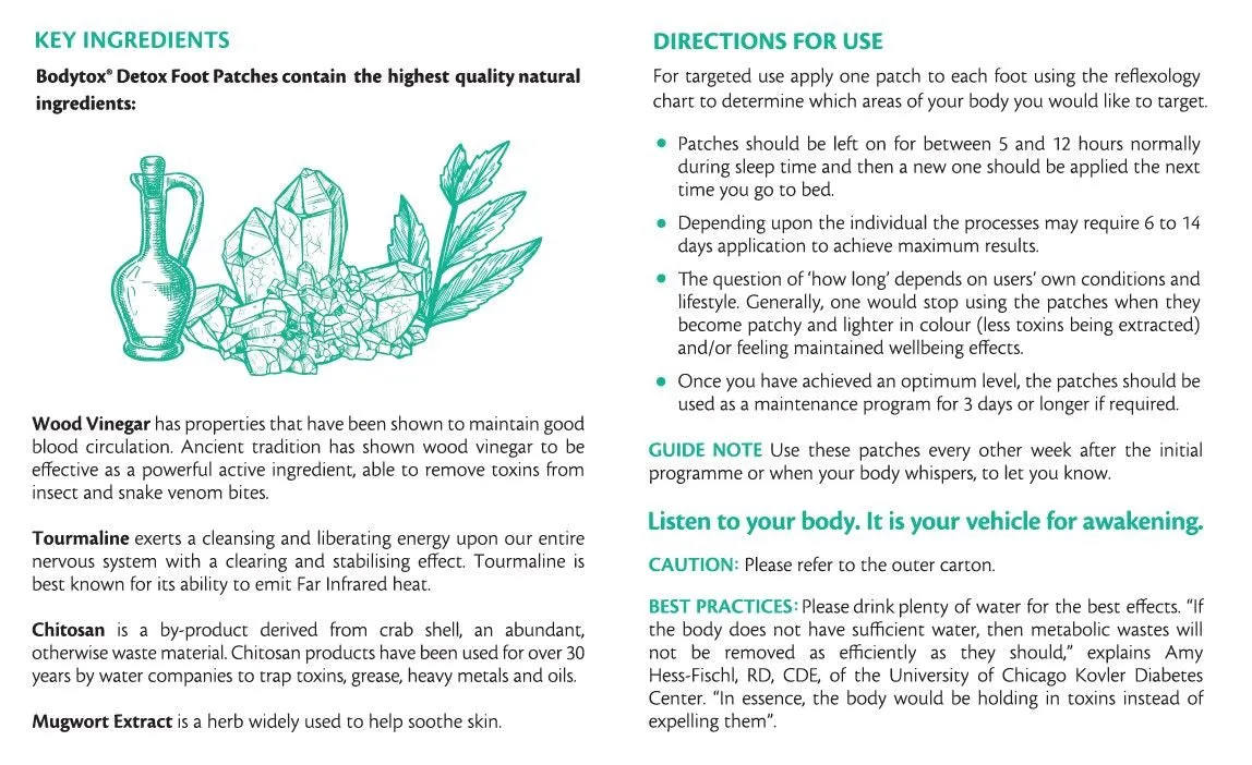 Bodytox Detox Foot Patches 14 Patches