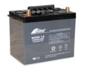 Fullriver Sealed AGM Battery, 12V 85 Ah Group 24, DC85-12