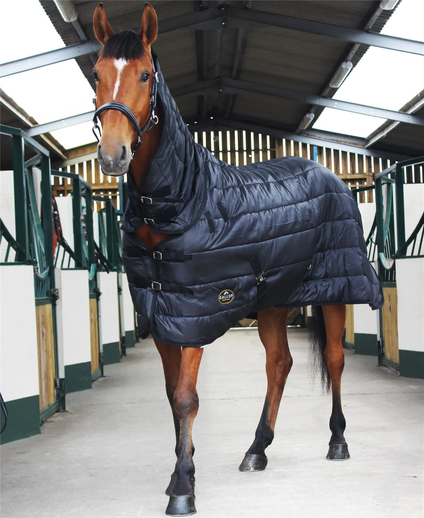 Gallop Equestrian Trojan 150 Combo Stable