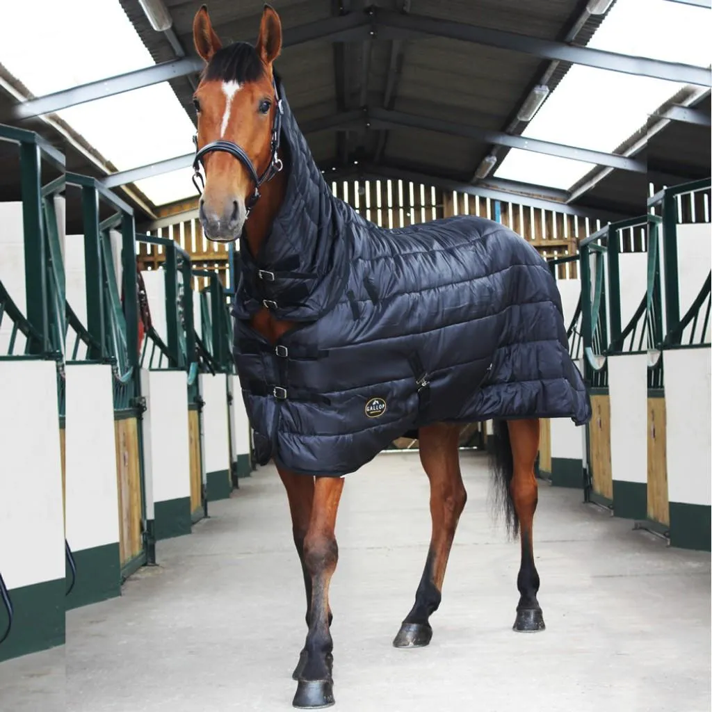 Gallop Equestrian Trojan 150 Combo Stable