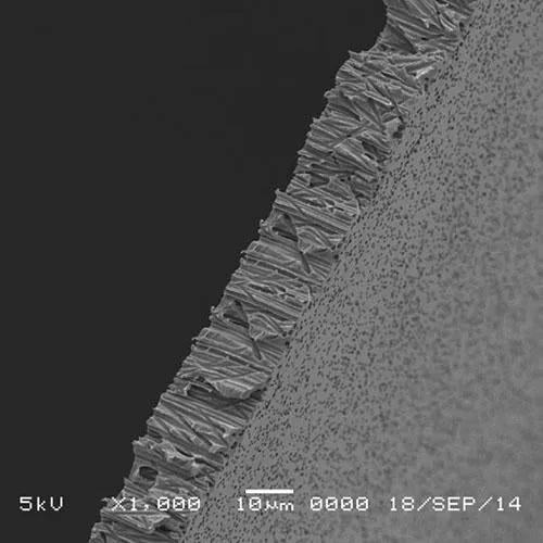 GVS 1267014 Poretics™, Filtration Membrane Polycarbonate Track Etched Hydrophilic 76mm 10.0 µm