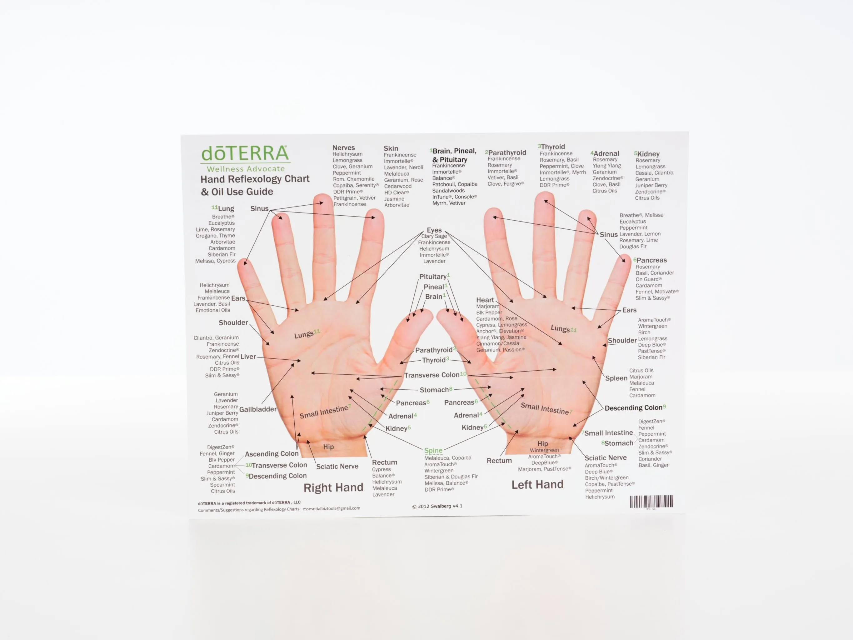 Hand & Foot Reflexology Chart - Large 8.5"x11" Size