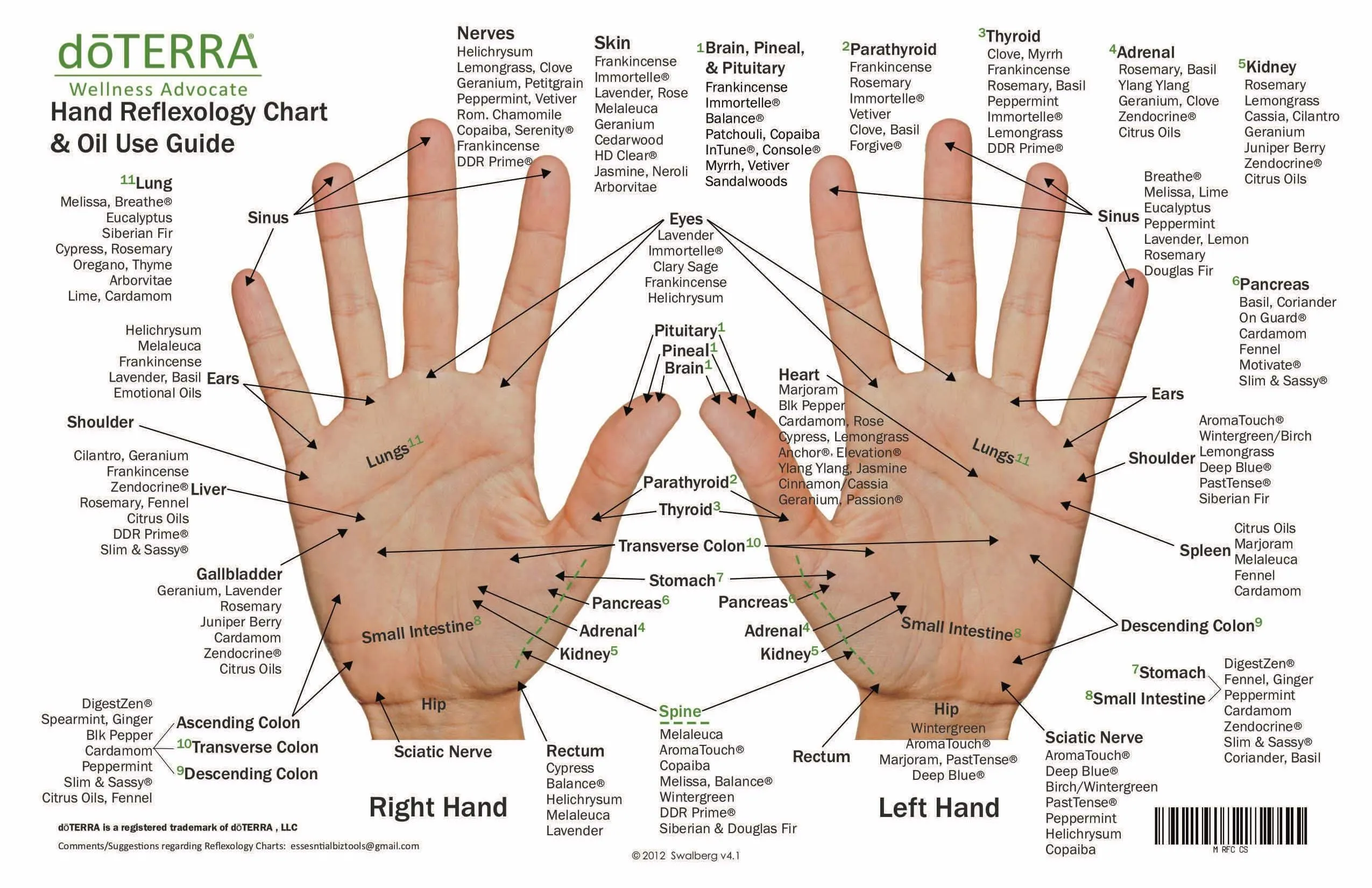 Hand & Foot Reflexology Chart - Small 8.5"x5.5" Size