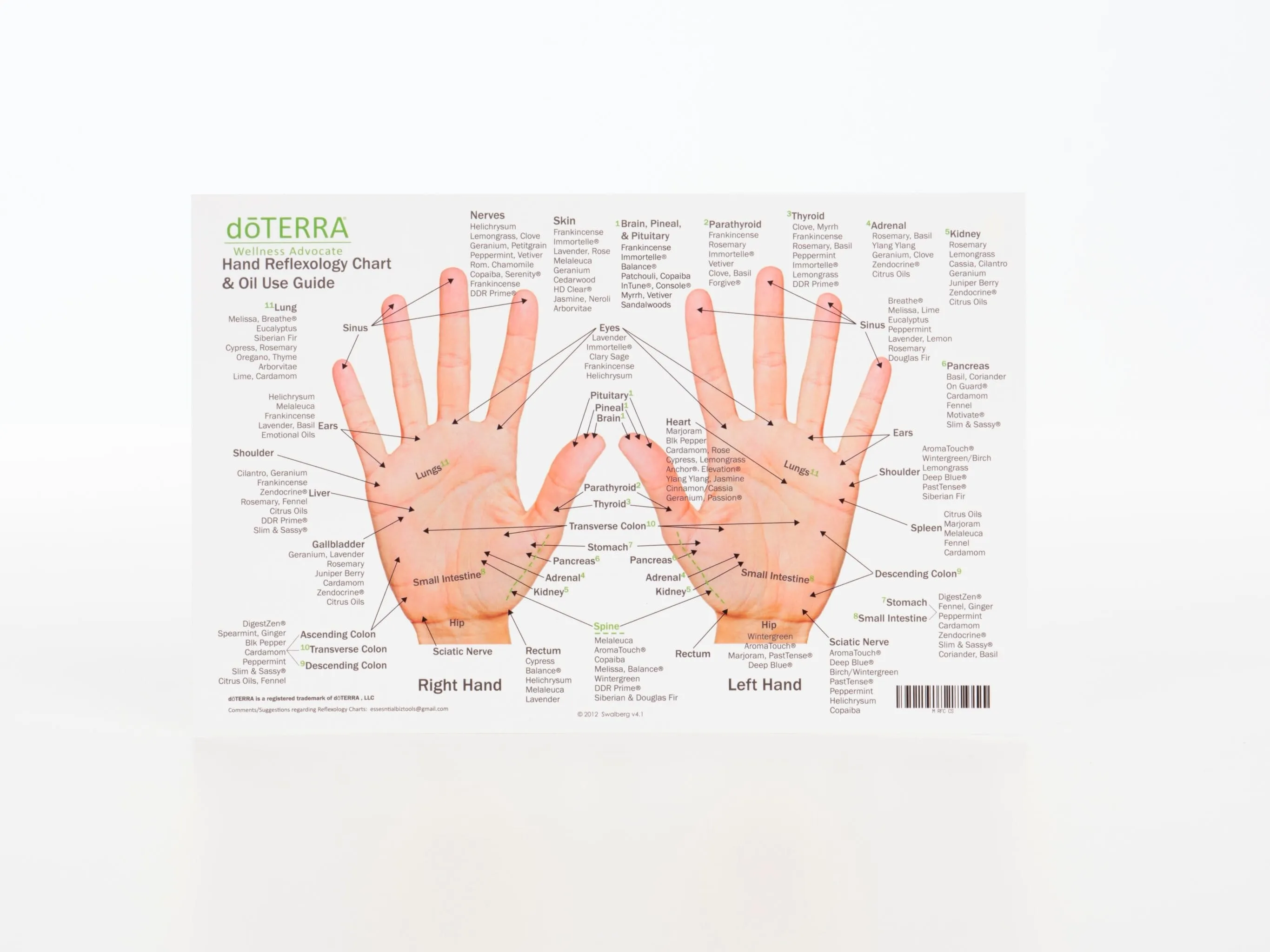 Hand & Foot Reflexology Chart - Small 8.5"x5.5" Size