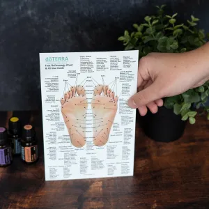 Hand & Foot Reflexology Chart - Small 8.5"x5.5" Size