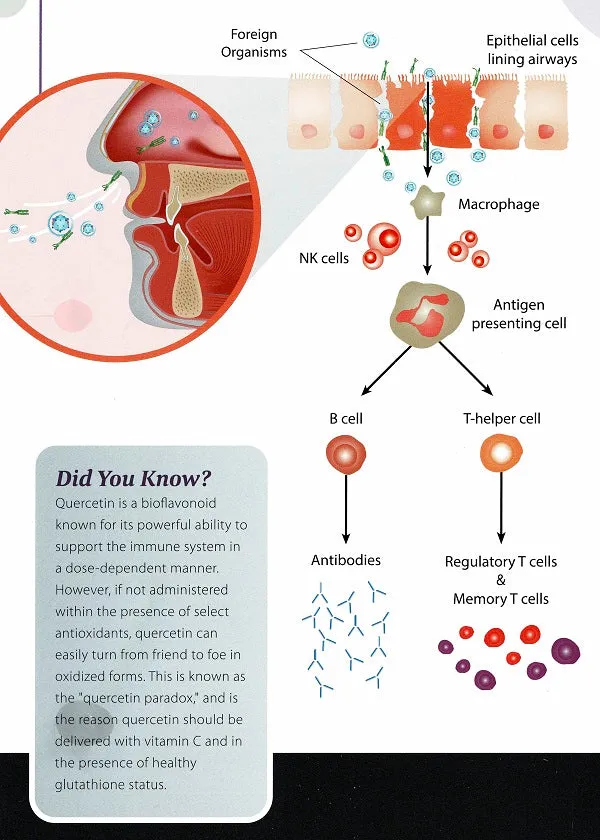 Immune Support - Multi-Nutrient - Gluten Free