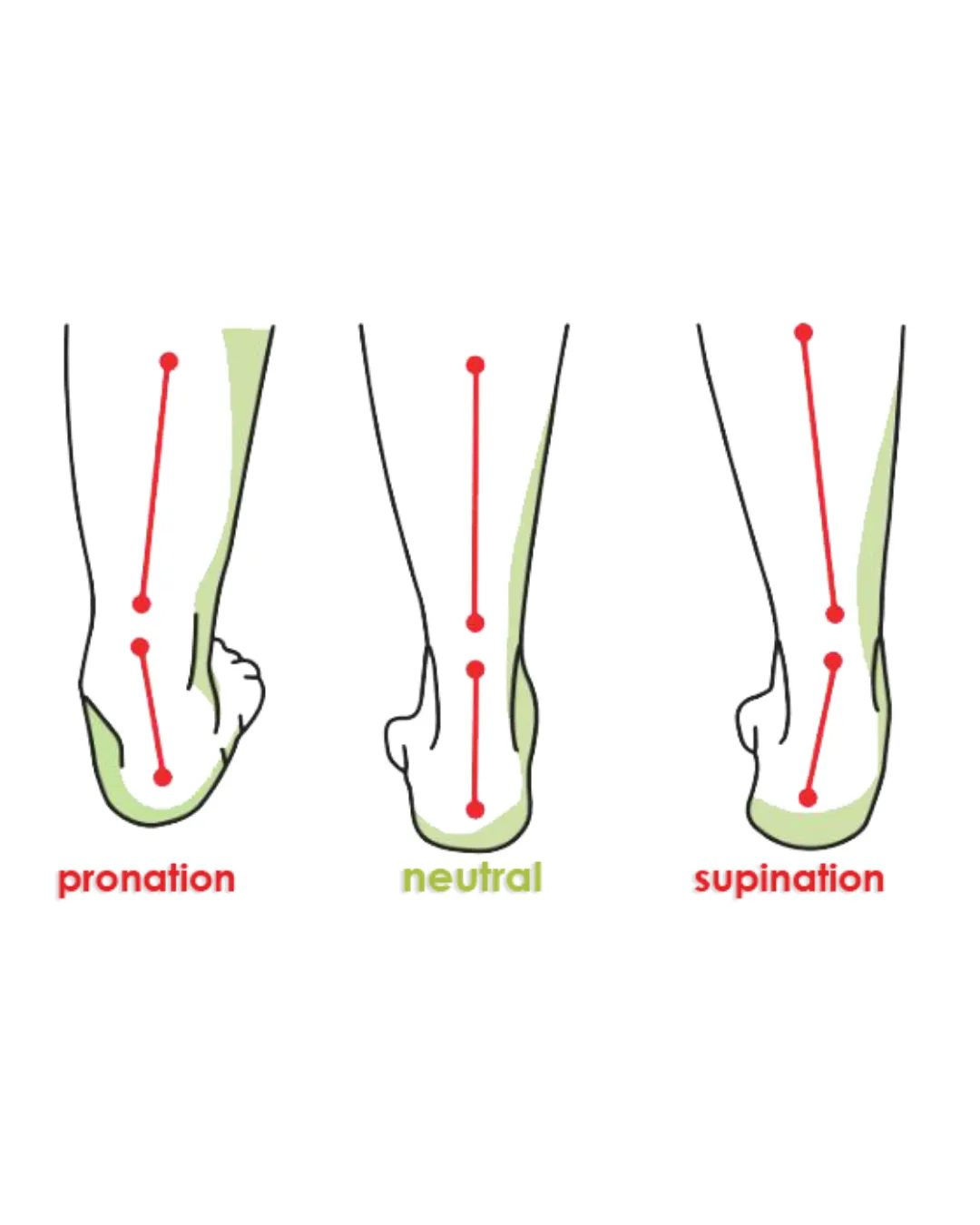Natural Every Day Orthotic Insole