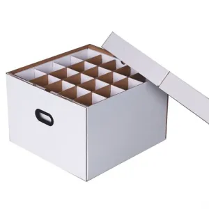 Ortho-Model Storage Box, Top-Load, 993437