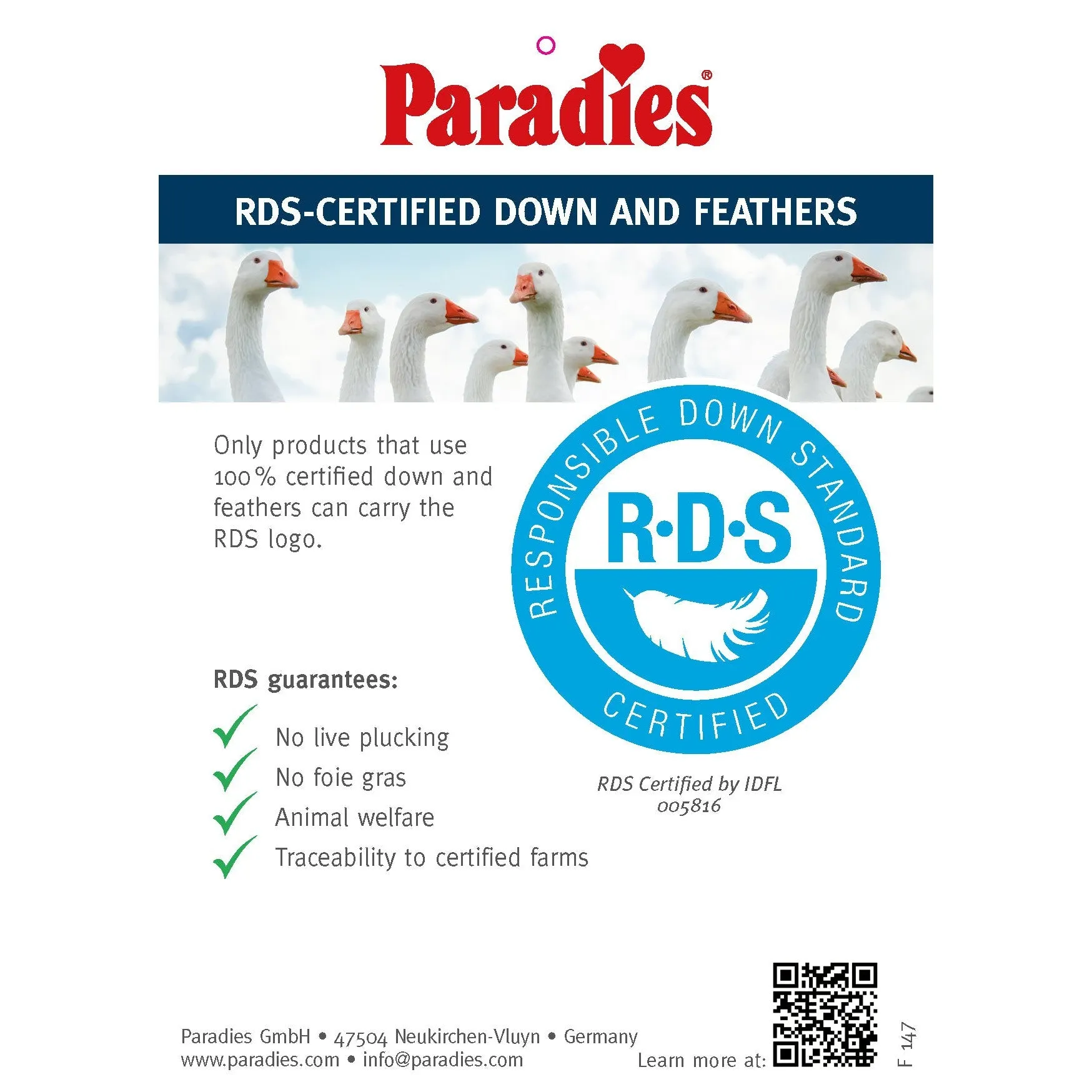 Paradies Stella Organic Down Pillow
