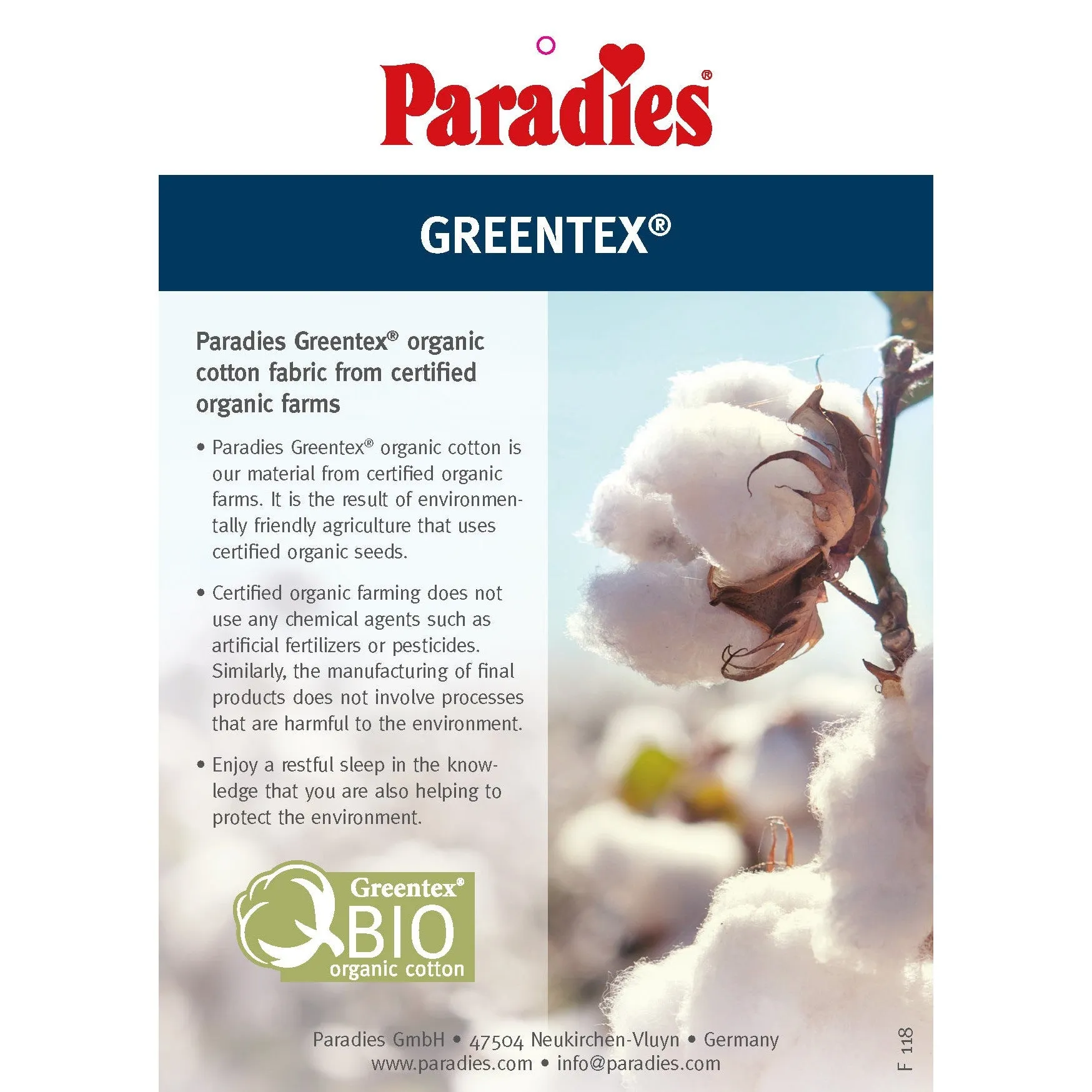 Paradies Stella Organic Down Pillow