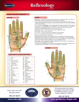 Reflexology Chart
