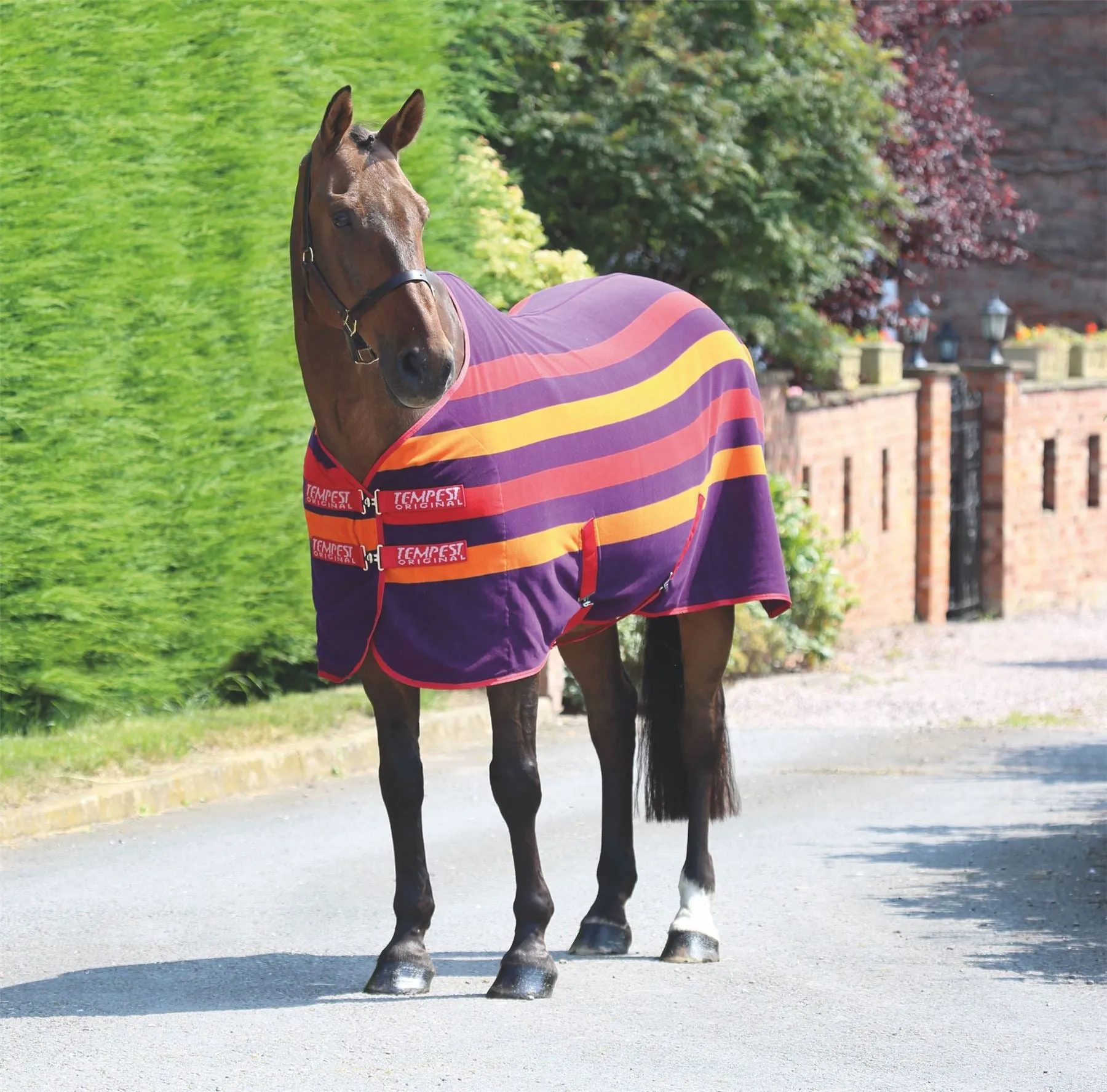 Shires Tempest Original Newmarket Fleece Rug