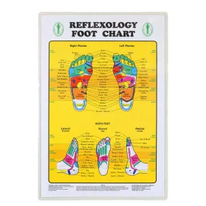 Wholesale Foot Reflexology Chart