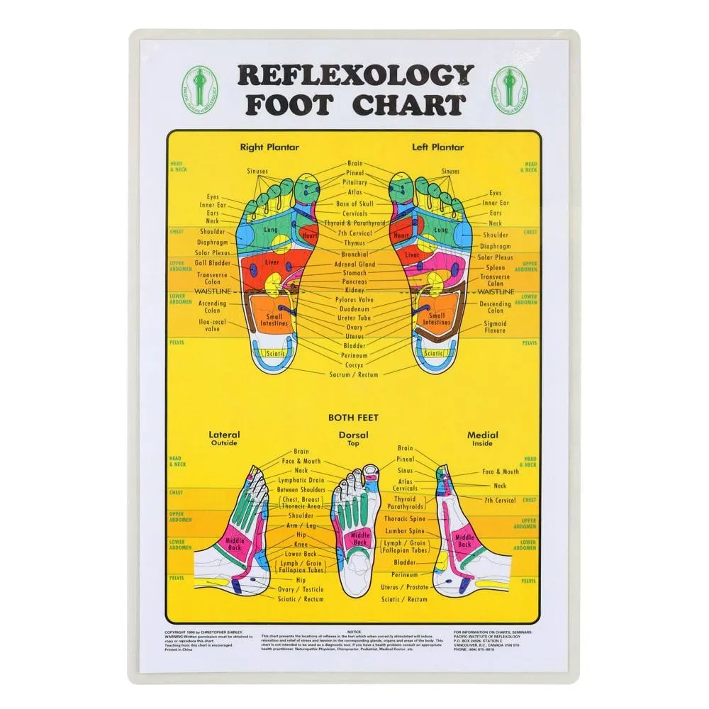 Wholesale Reflexology Foot Massage Roller
